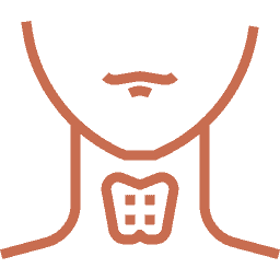 Thyroid Optimization at Contours